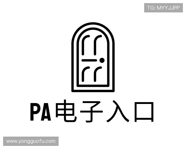 关于PA电子集团